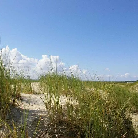 Kohaus Comfortable * Norderney